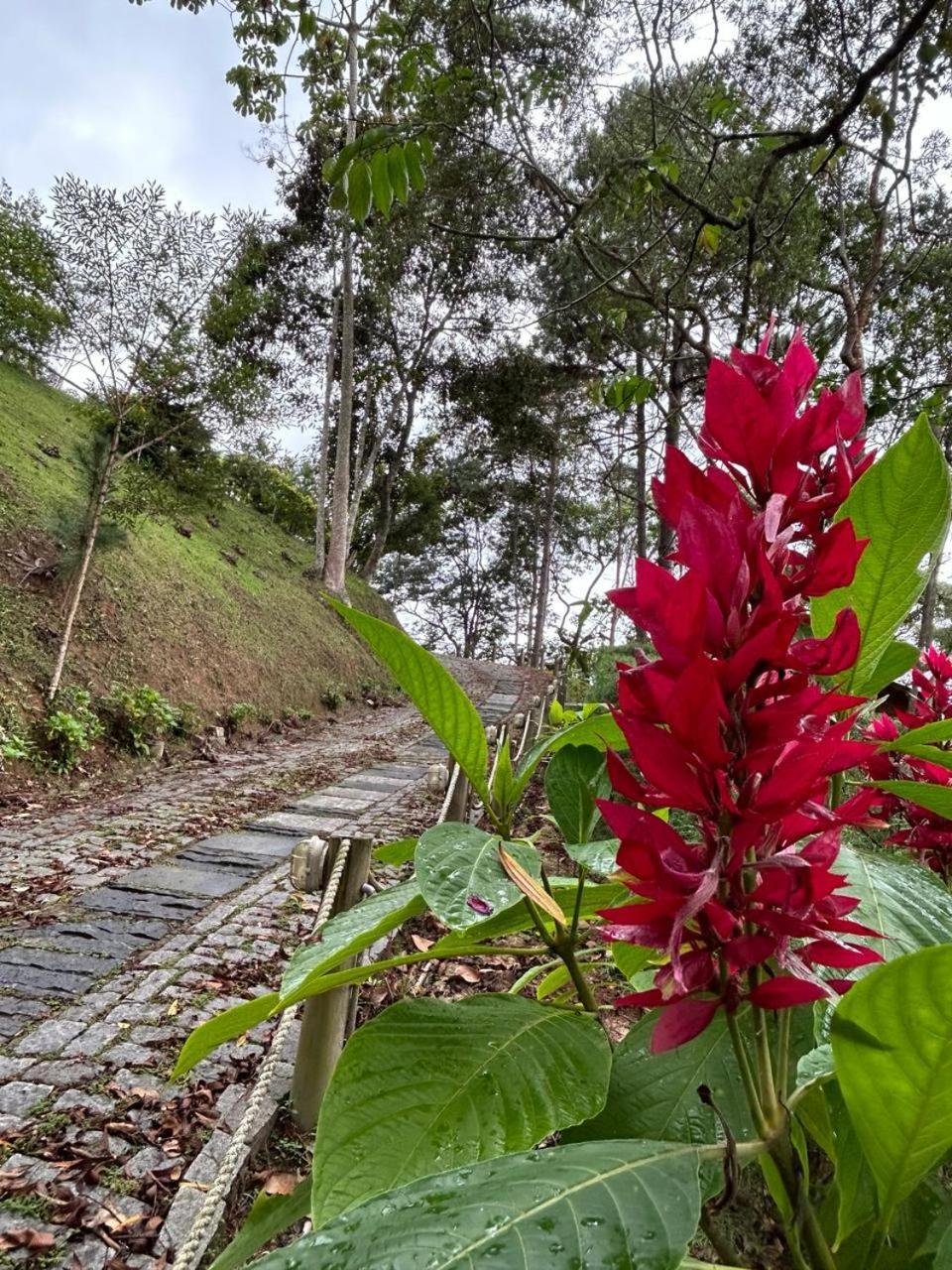 Chale Ipe Branco Hotel Pedra Azul  Kültér fotó
